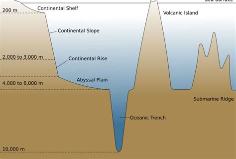 mariana trench diagram.